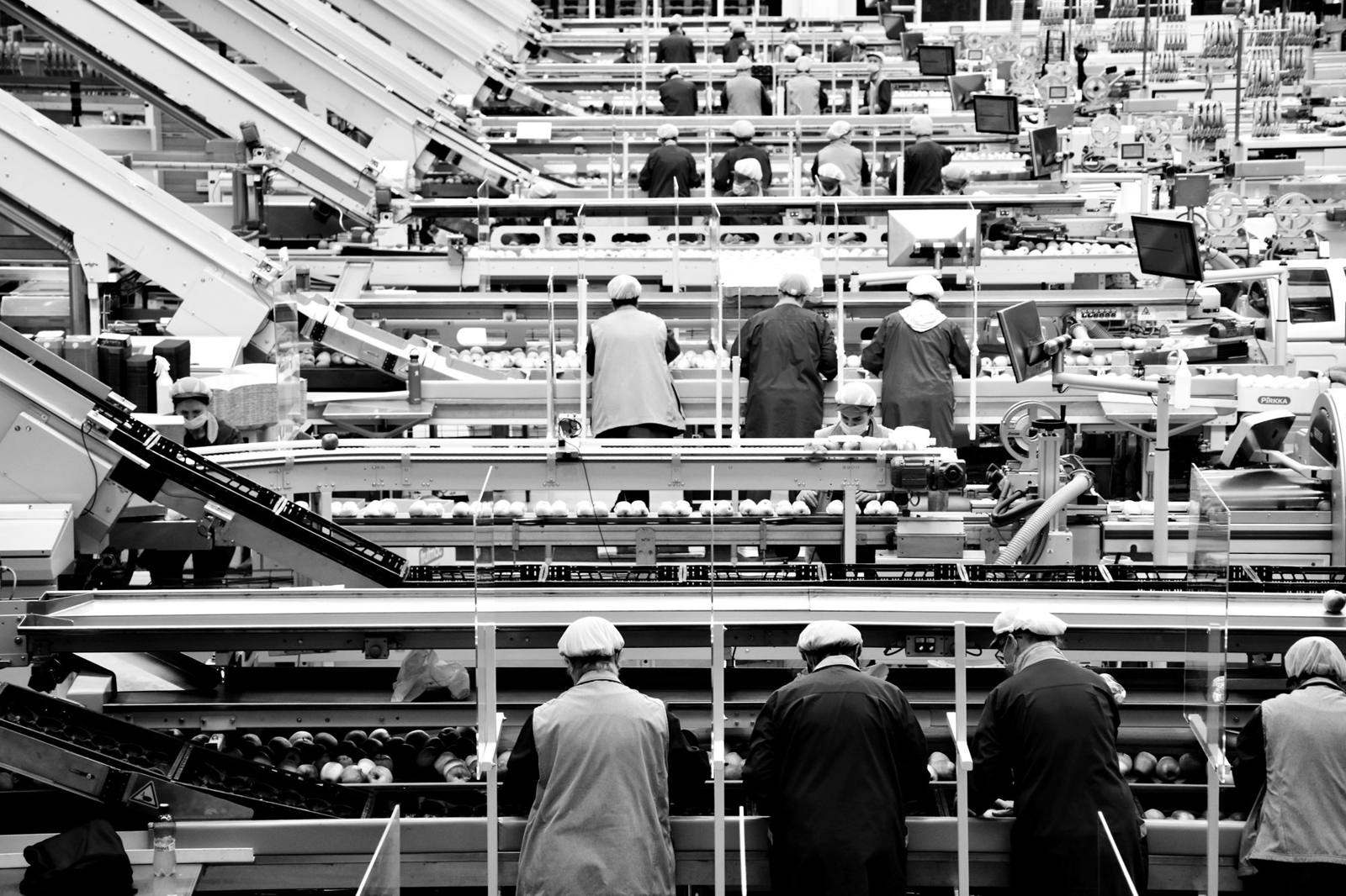 Produce packing lines in an export facility