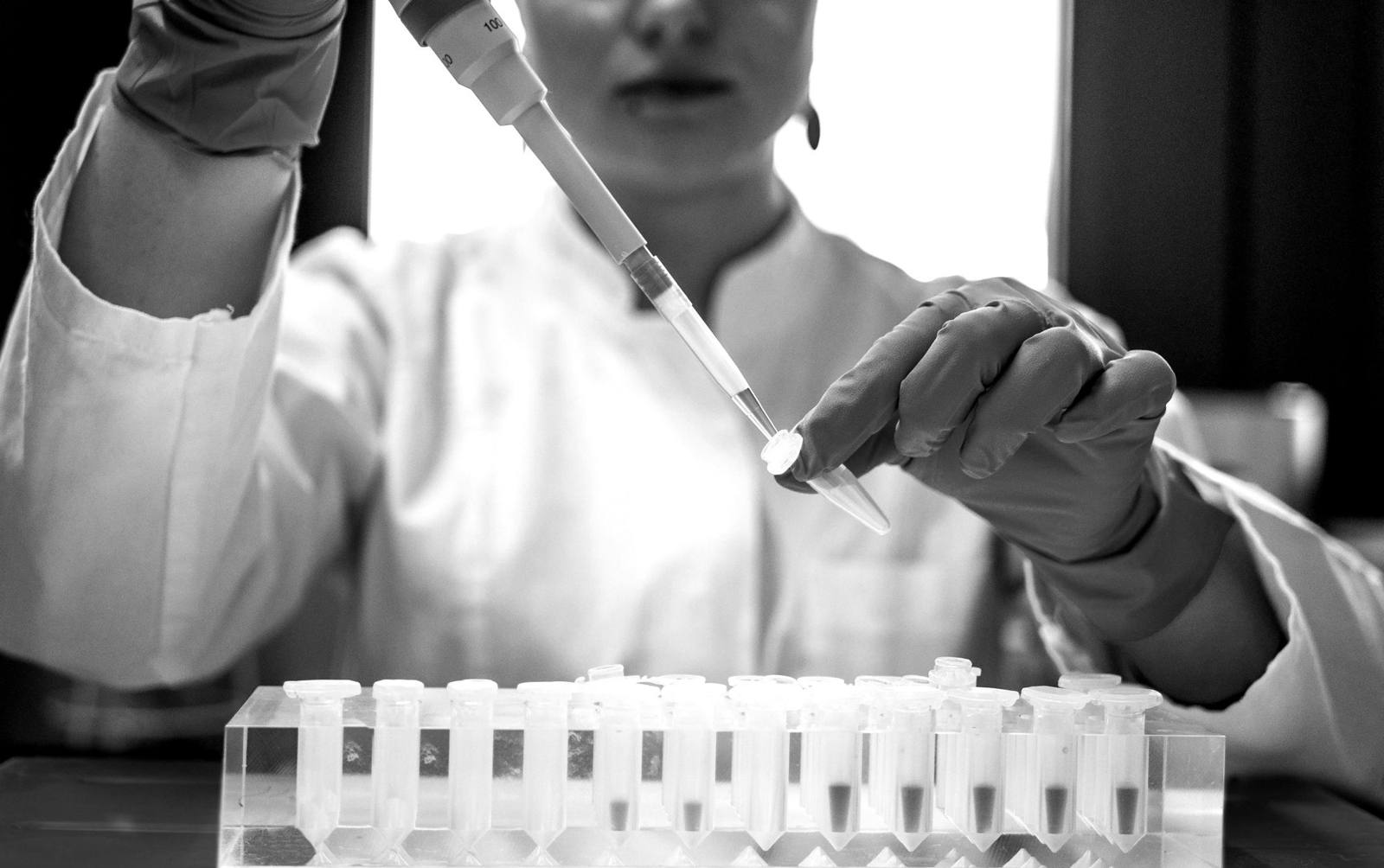Scientist pipetting samples
